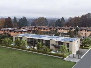 Vista