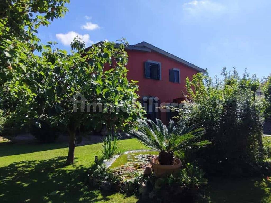 Giardino