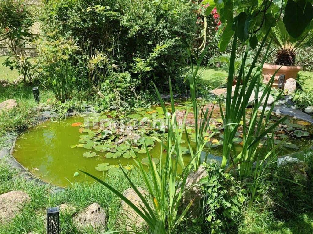 Giardino