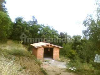 Rustico - Casale in vendita a Sinalunga