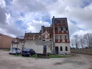 Zona