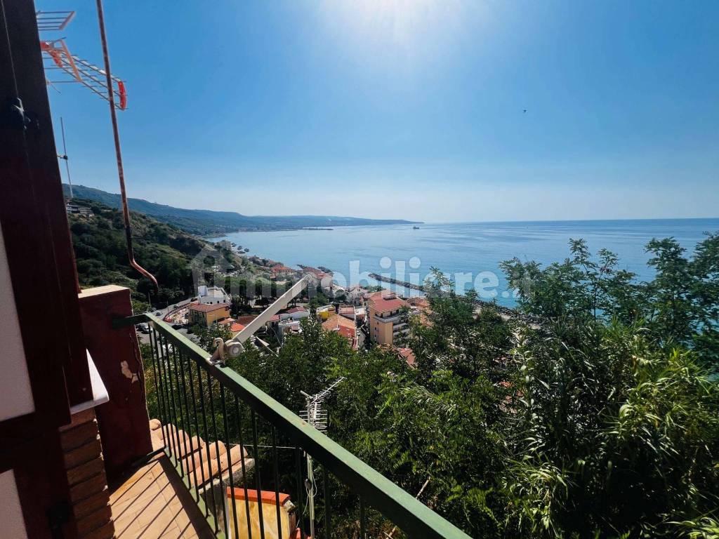 Vista