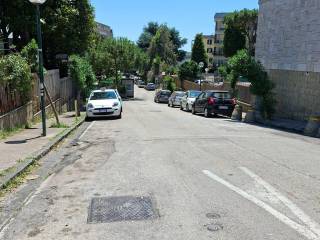 Zona