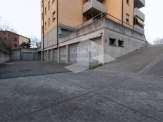 Zona