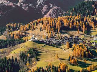 Vista