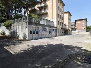 Zona