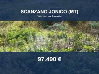 Zona