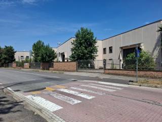 Zona