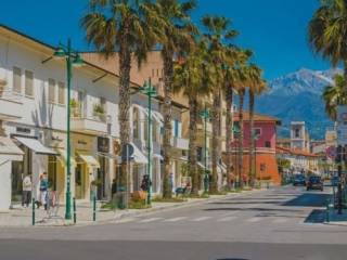 Zona