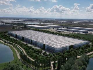Vista