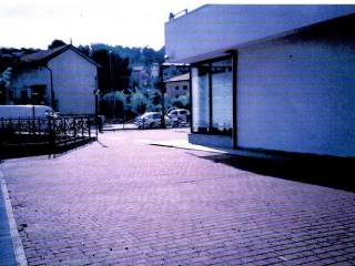 Zona