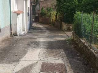 Zona