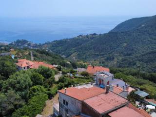 Vista