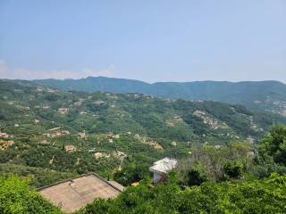 Vista