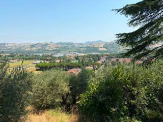 Vista
