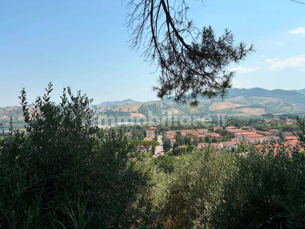 Vista