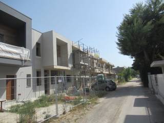 Zona