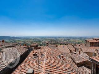 Vista