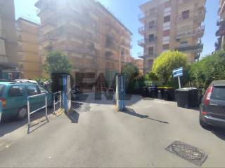 Zona