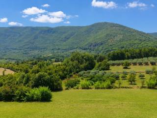 Vista