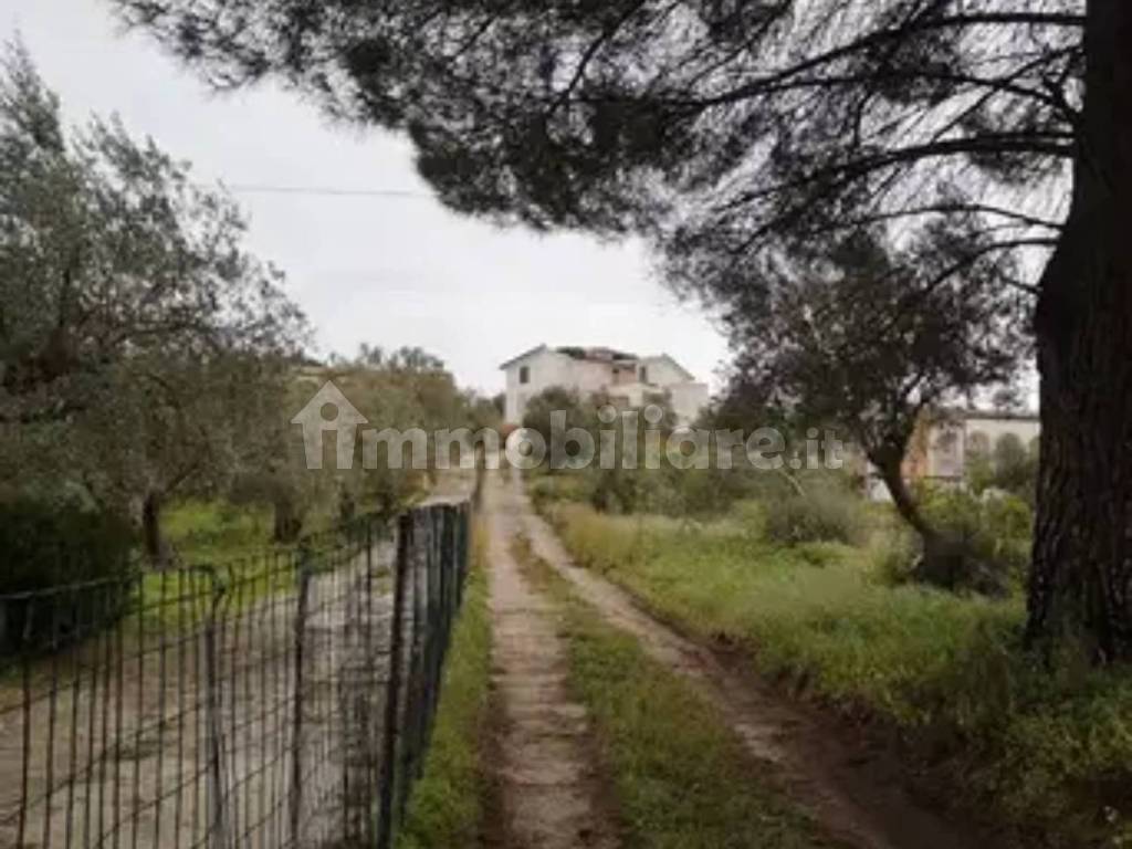Terreno
