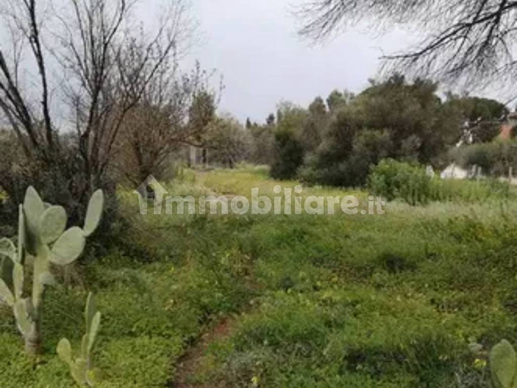 Terreno