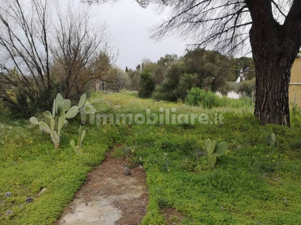 Terreno