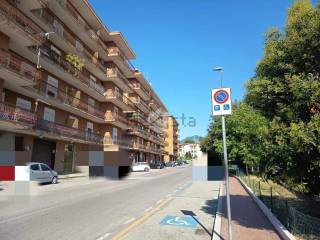 Zona