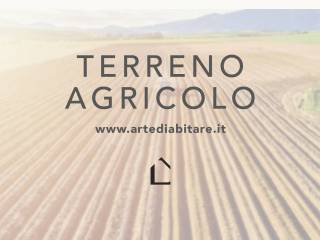 Altro