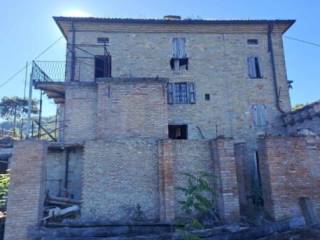 Zona