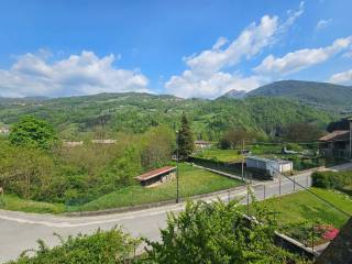 Vista