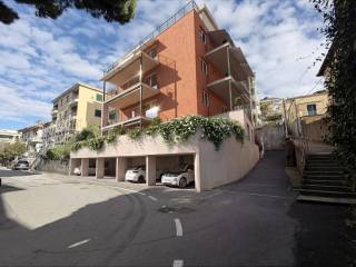 Zona