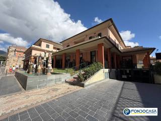 Zona