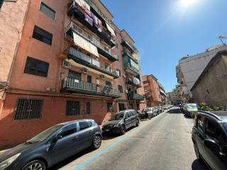 Zona