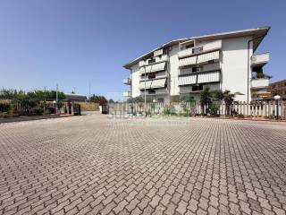 Zona