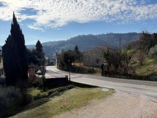 Zona