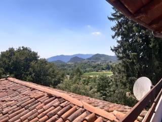Vista