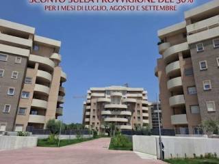 Zona