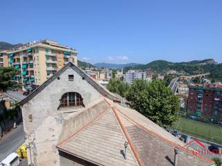 Vista