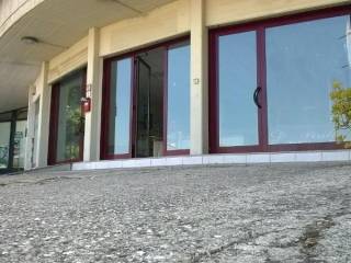 Zona