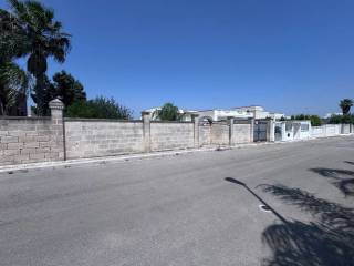 Zona