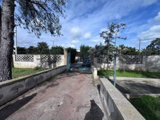 Zona