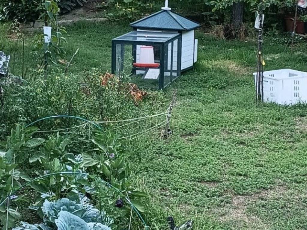 Terreno