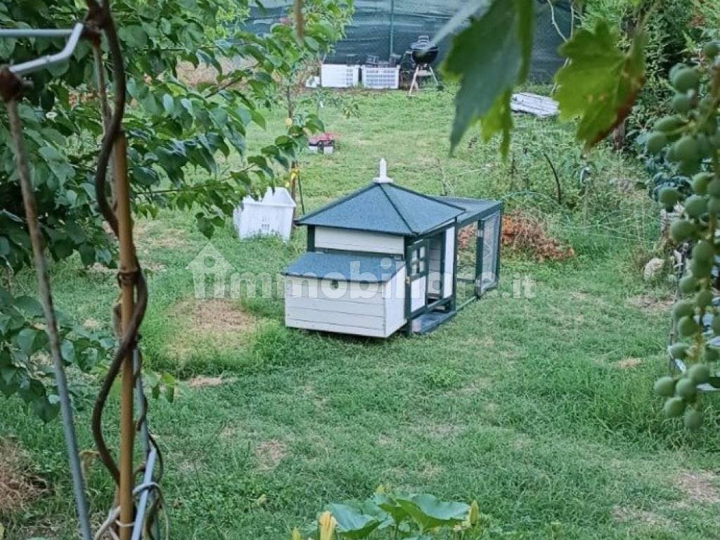 Giardino