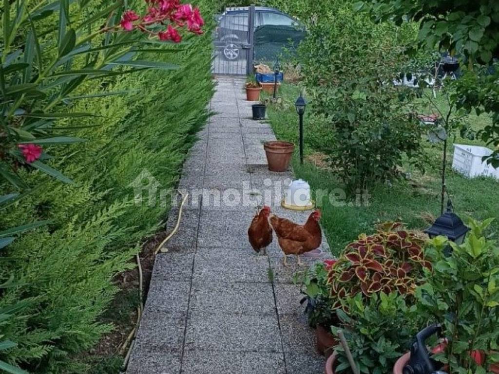 Giardino