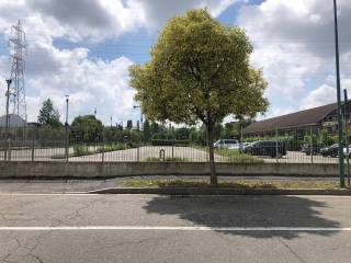 Zona