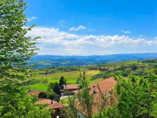 Vista