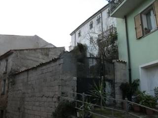 Zona