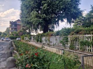 Zona