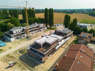 Vista
